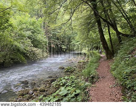 Promenade Along The Curak Stream Near The Zeleni Vir Picnic Area In Gorski Kotar - Vrbovsko, Croatia