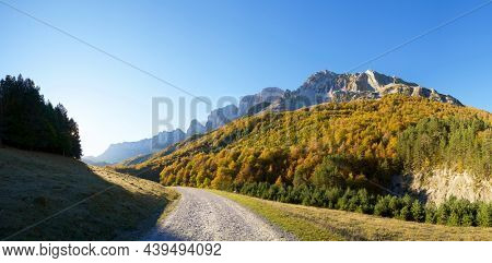 Forest in Anso Valley, Huesca Province in Aragon in Spain.