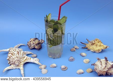 Summer Sea Background - Shells And Corals On A Blue Background.\nbeautiful Exotic Shell On A Blue Ba