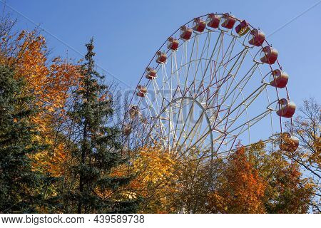 Photo Of A Ferris Wheel In Autumn In A Park With Yellow Trees In The City.
