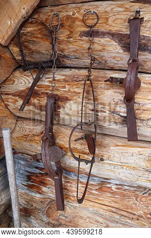 Various Animal Traps Hanging On A Log Wall