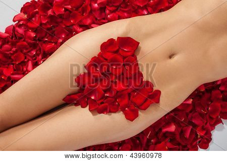 Parte do nu bonito bronzeado corpo feminino em pétalas de rosas escarlate