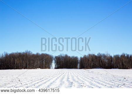 Agricultural fileds in Quebec province, Canada.  Ploughed land with furrows covered in snow, with blue sky background. Winder scene with space for text