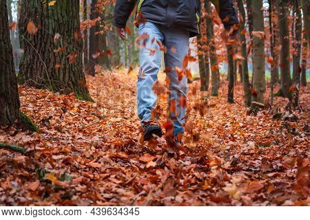 Detail Of Young Man In Jeans And Jacket Kicking To Autumn Red Foliage Leaves On Forest Foothpath. Cz