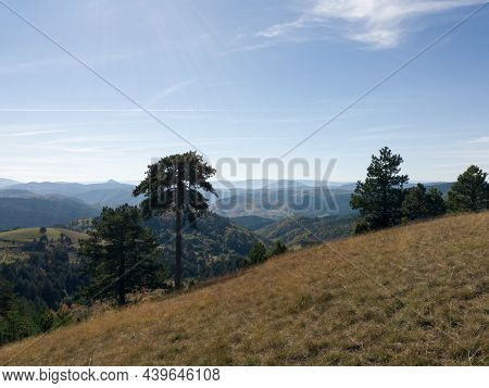 Mountain Landscape In The Village Of Dobroselica On The Mountain Zlatibor In Serbia