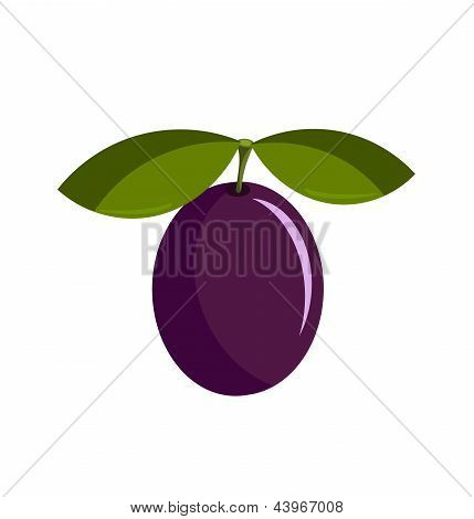 Prugna