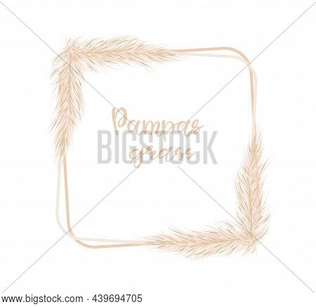 Pampas Grass Is A Delicate Square Frame For The Design Of Wedding Invitations, Postcards. Selloana. 