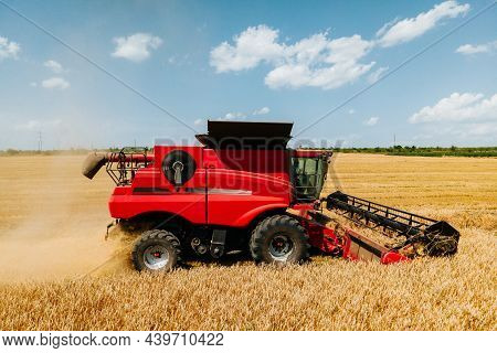 Combine Harvesters Harvest Wheat On A Yellow Field. Harvester Working In The Field. Top View Aerial 
