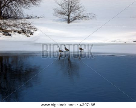 Oche bilanciamento blu e bianco