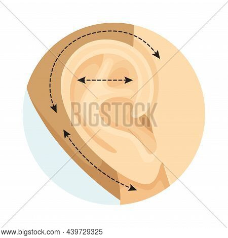 Otoplasty Cosmetic Surgery Procedure Of Female Face With Dotted Lines. Plastic Surgery Vector Illust