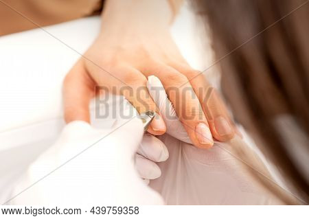 Manicure Master Uses Manicure Clippers Removing Cuticles On Female Nails In A Beauty Salon Close Up