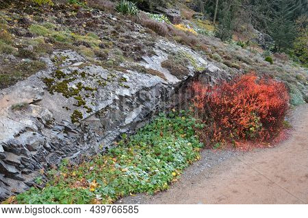 Gravel Threshing Path Through The Park On A November Autumn Day. Under The Rock Formation Of The Slo