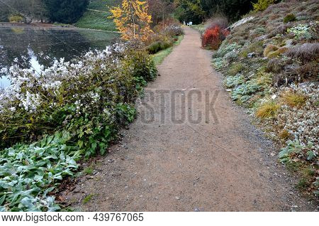 Gravel Threshing Path Through The Park On A November Autumn Day. Under The Rock Formation Of The Slo