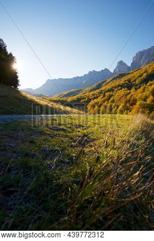 Forest in Anso Valley, Huesca Province in Aragon in Spain.