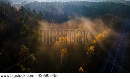 Highway Among Coniferous Autumn Forest In The Rays Of The Foggy Autumn Morning Sun. Picturesque Land
