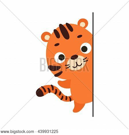 Cute Little Tiger Peeking Around The Corner On White Background. Cartoon Animal Character For Kids C