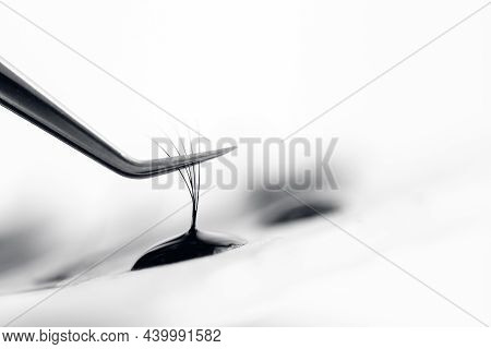 Set Eyelash Extension Tools White Isolated Background 5d