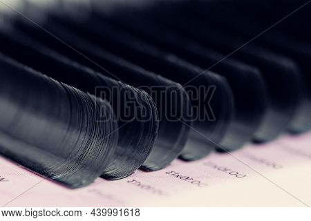 Set Artificial Black Lashes Pink Isolated Background, Eyelash Extension