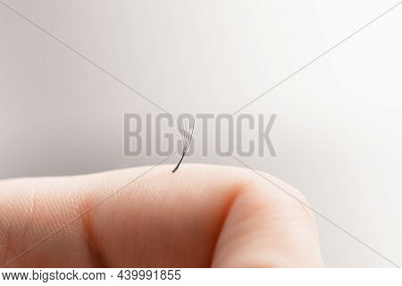 Macro Photo Lashes On Hand Master. Concept Eyelash Extension Procedure
