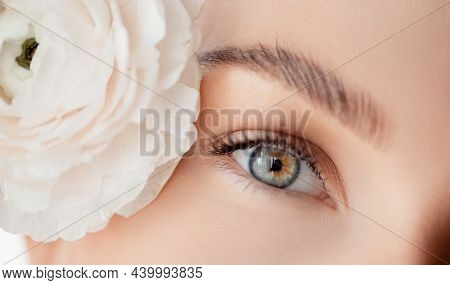 Eyelash Extension Procedure Microblading For Eyes Woman In Beauty Salon