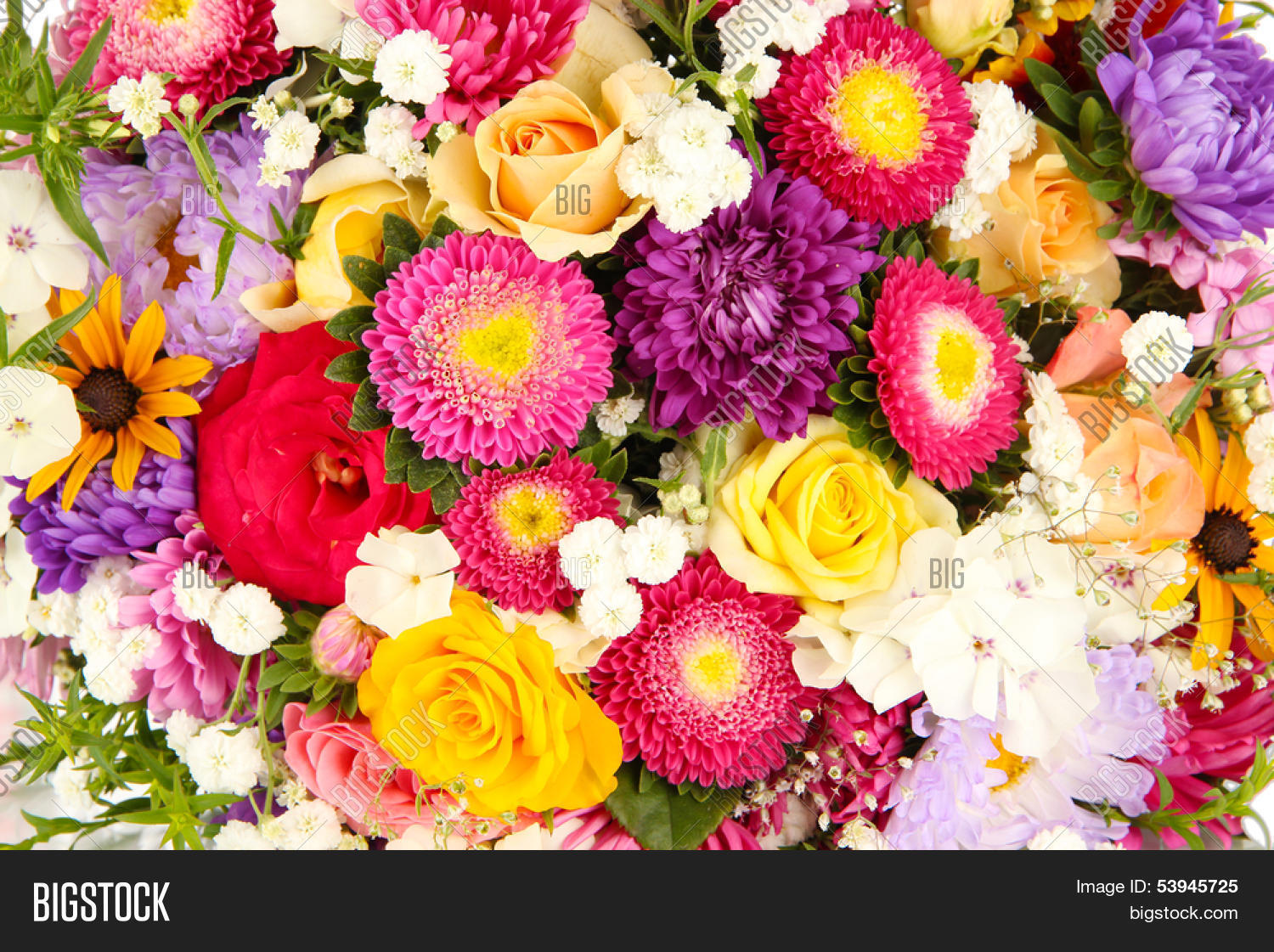Bright Flowers Image & Photo (Free Trial) | Bigstock