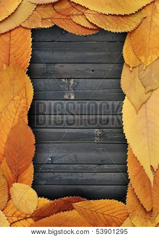 Golden Leaves Frame On Burned Planks