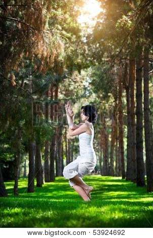Yoga Eagle Pose In The Park