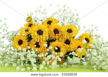 Beautiful flowers on table on white background