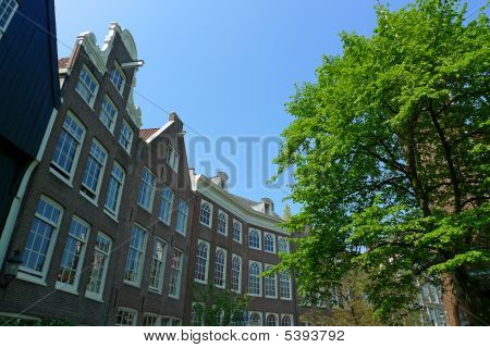 Begijnhof Windows