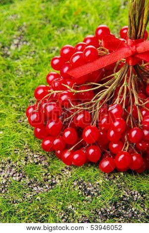 Red berries of viburnum on green grass background
