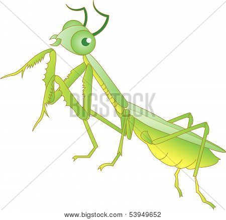 Praying mantis grasshopper cartoon
