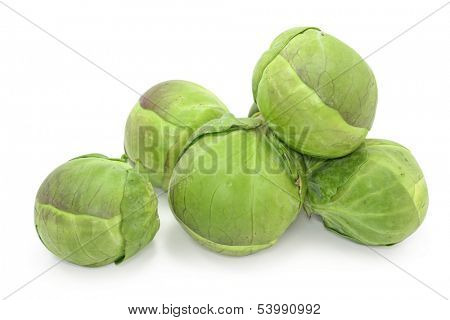 brussel  sprouts cabbage on white background