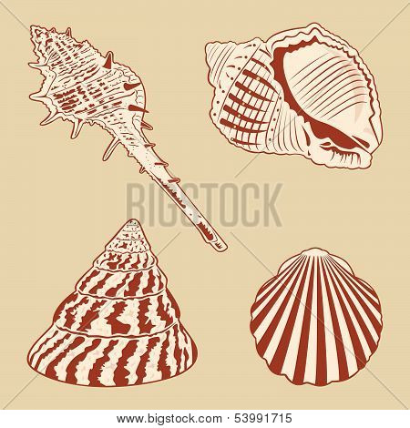 Vintage Shells Set.