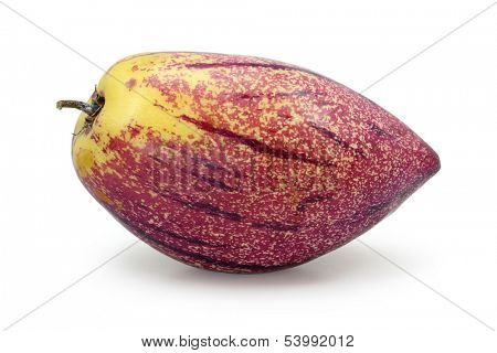 pepino melon isolated on white background