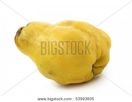 Quince isolated on white background