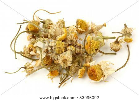 Dried chamomile tea  isolated on white background