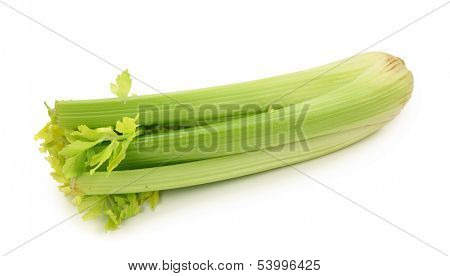 Celery isolated on white background