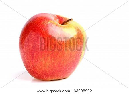 Ripe Wry Apple Isolated.
