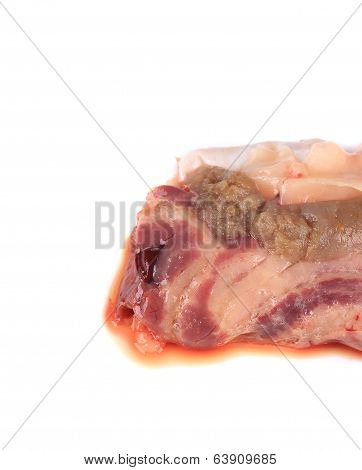 Close up of inside fish bowels.