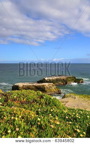 Rocky outcrops inSanta Cruz.