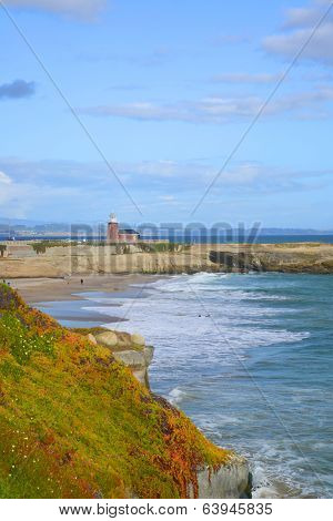 View of the shore line of Santa Cruz.