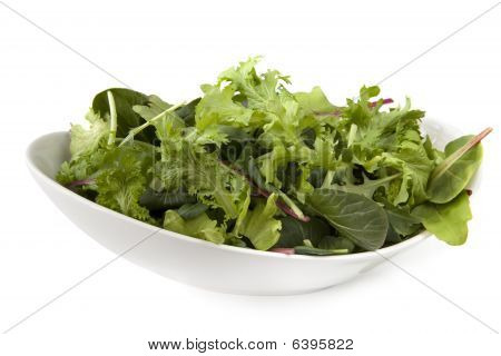 Salat Blätter