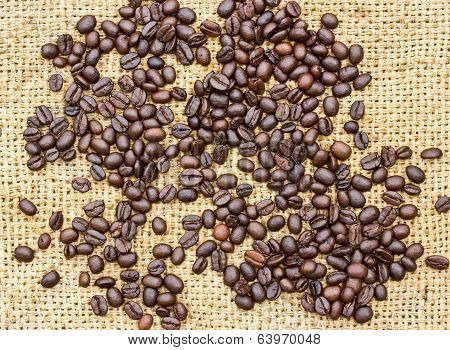 Fresh Coffee Beans On Wood Background