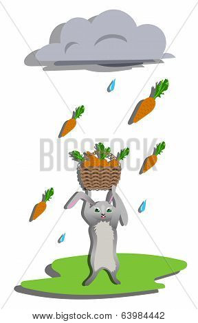 Rain for hare.