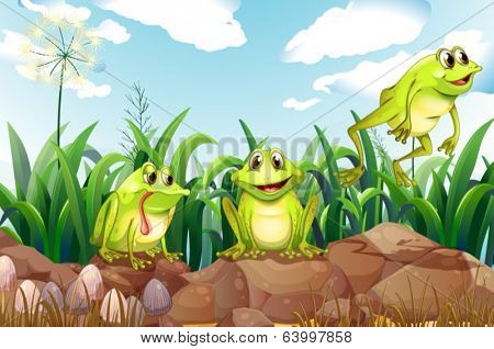 Illustration of the three frogs above the rocks