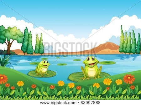 Illustration of the two playful frogs at the pond