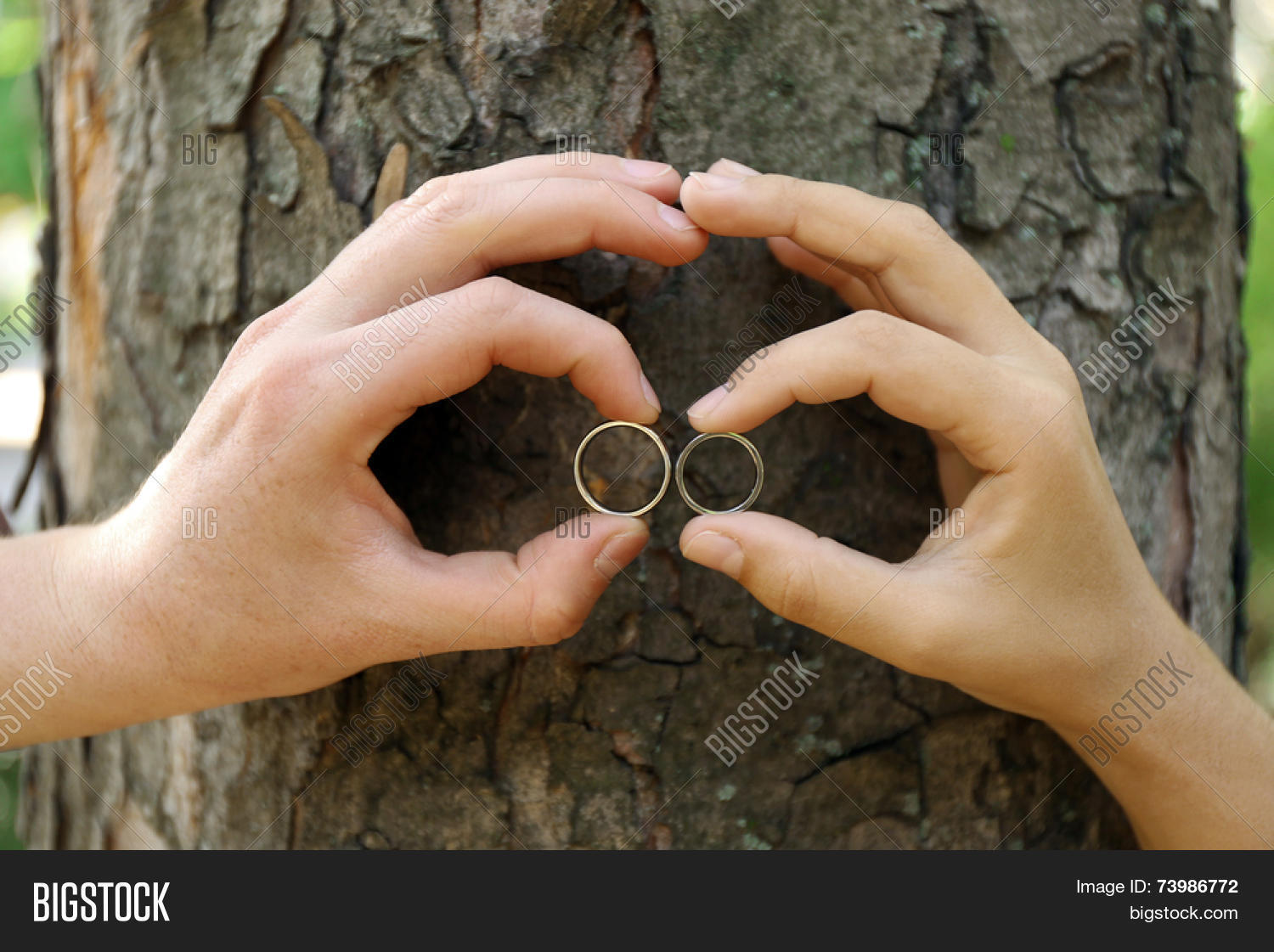 Two Hands Wedding Image Photo Free Trial Stock Two Hands With Wedding Rings Hugging Trunk Large Tree Close Up