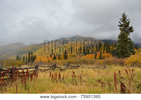 Western Fall
