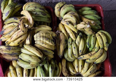 Banana Group From Marketplace In Nicaragua