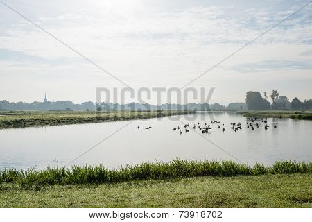 Small River Early In The Morning